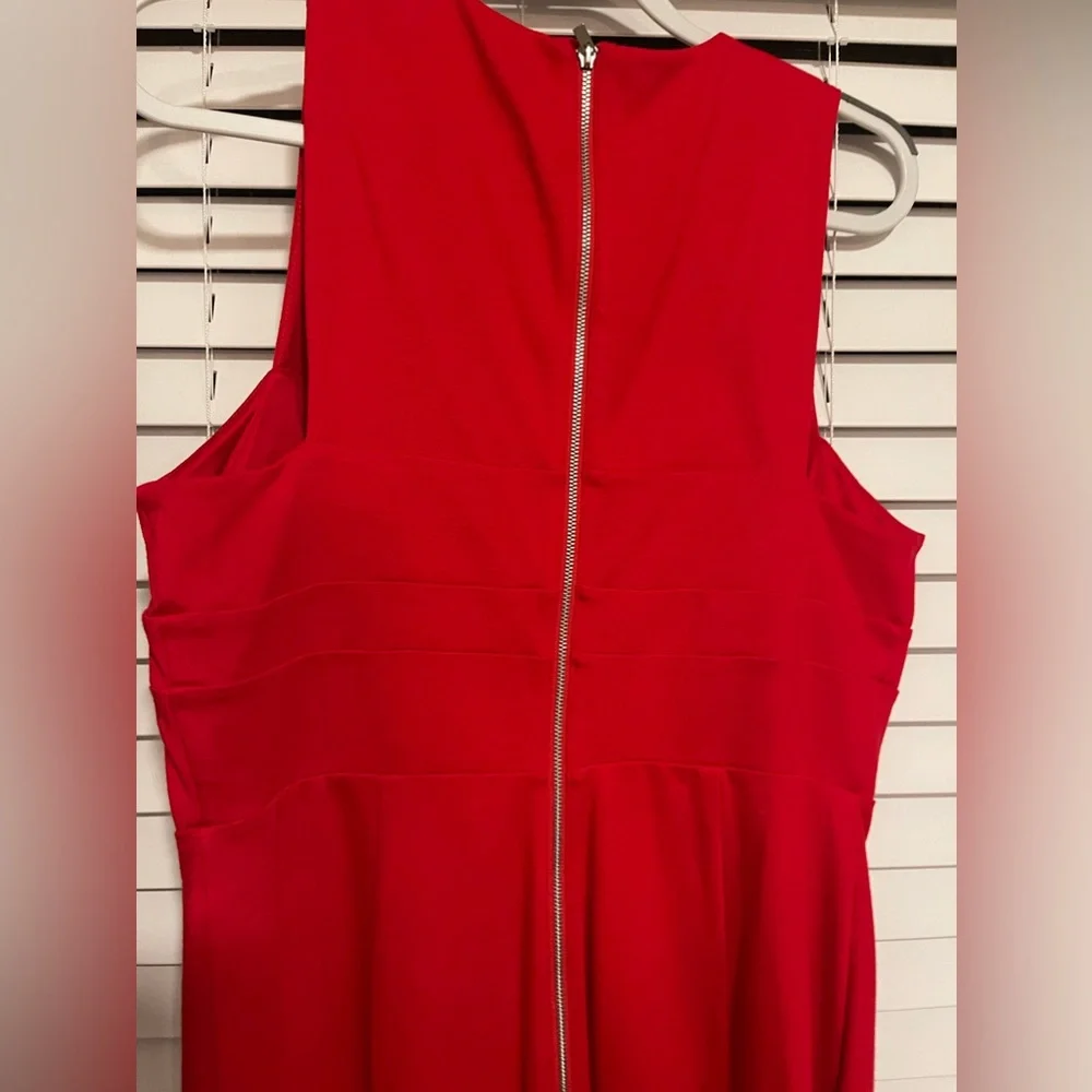 Express Dress - Picture 5 of 9